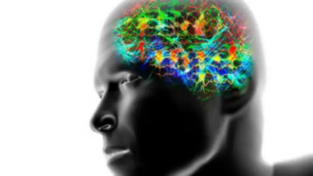 Actividad eléctrica cerebral