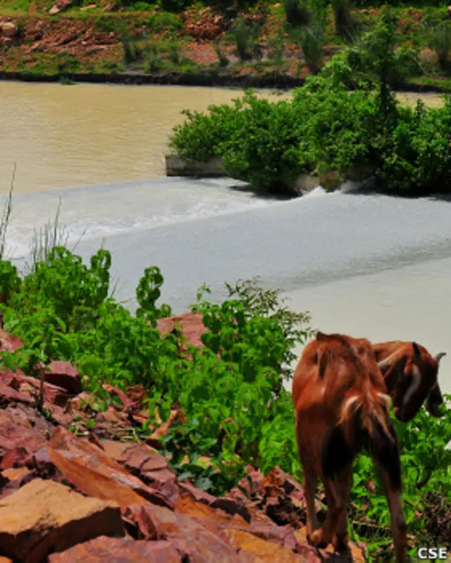 बेलवादाह में जल स्रोत में मिलती कारखाने की राख. कारखानों की राख इलाके की मिट्टी को बंजर करती जा रही है.