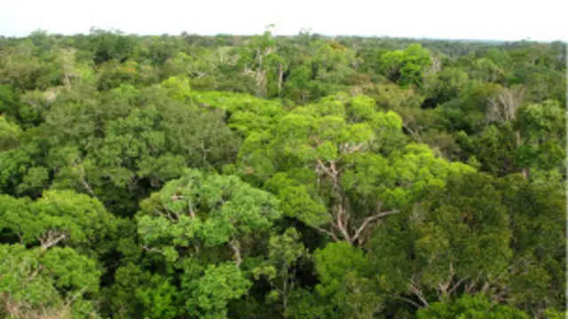 Los costos aumentan cuando se tiene en cuenta la protección de áreas amenazadas,