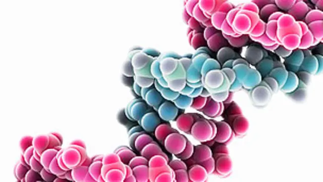 ADN Imagen Laguna Design/SPL