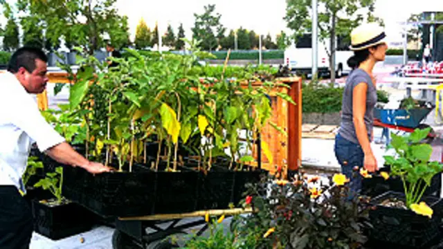 Voluntarios en la granja portátil Riverpark Farm en Nueva York
