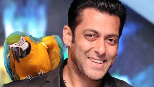 सलमान खान