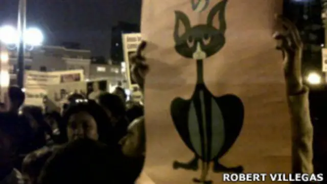 Плакат с изображением кошки в руках у демонстранта в Перу