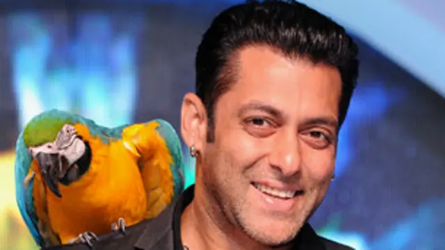 सलमान खान