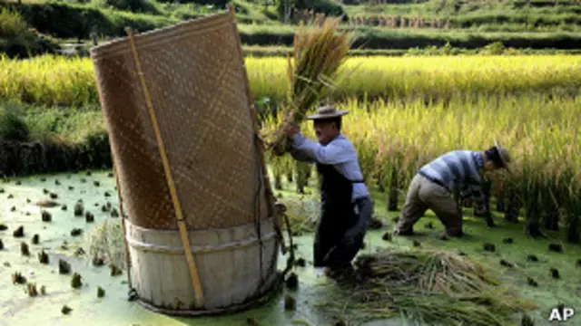 Campesinos en China