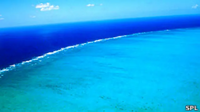 Gran Barrera de Coral Foto SPL