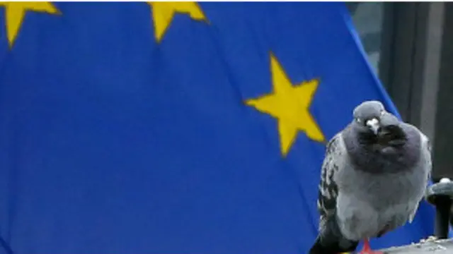 यूरोपीय संघ