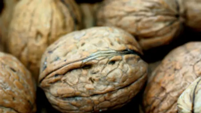 خواص مفید گردو قبلا ثابت شده بود و این بر شواهد قبلی می افزاید