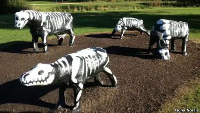 Бетонные коровы