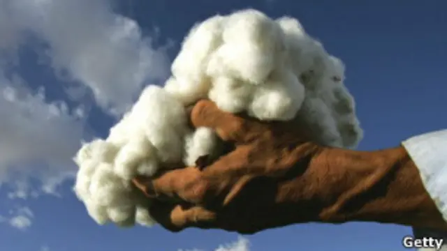 Узбекский хлопок