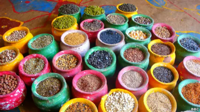 ان درختوں کے بیجوں کا انتخاب اس لیے کیا گیا تھا کیونکہ یہ معاشی، سماجی اور ماحولیاتی اعتبار سے اہمیت کے حامل ہیں