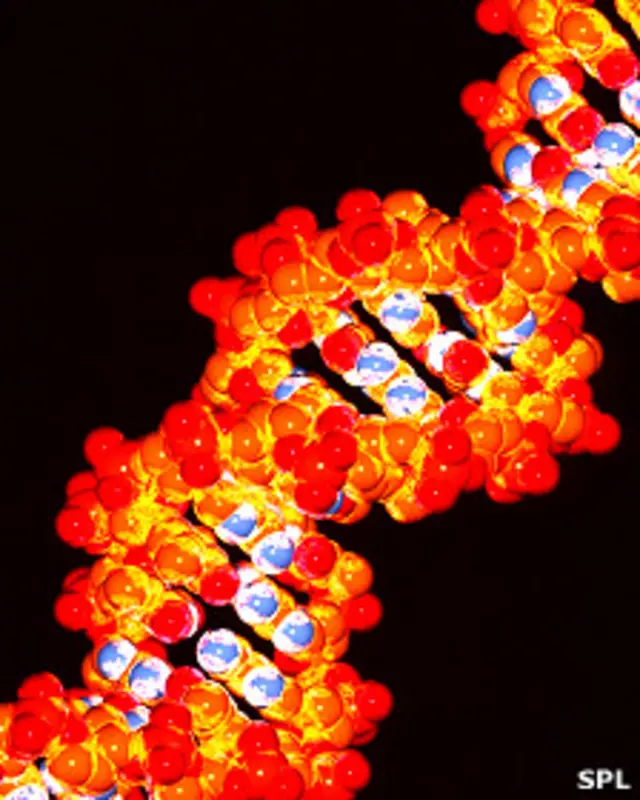 Doble hélice de ADN