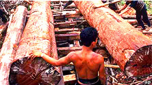 Hombres talando madera