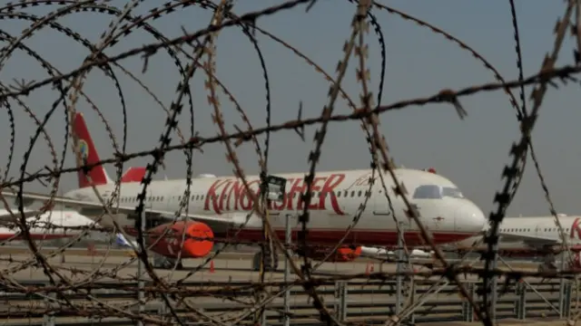 किंगफिशर