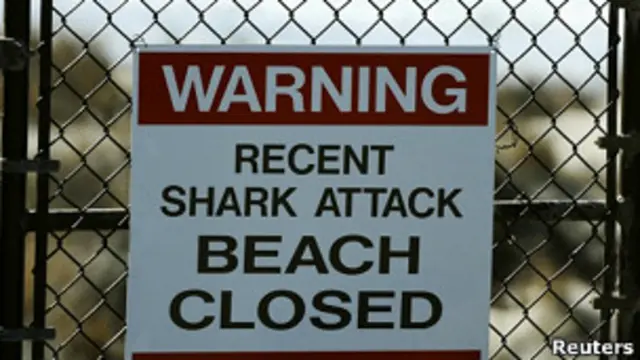 Пляж закрыт после нападения акулы