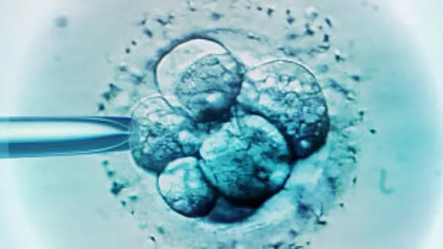 Selección de embriones para IVF