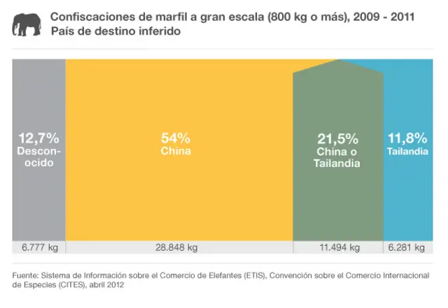 Gráfico sobre el destino de marfil confiscado