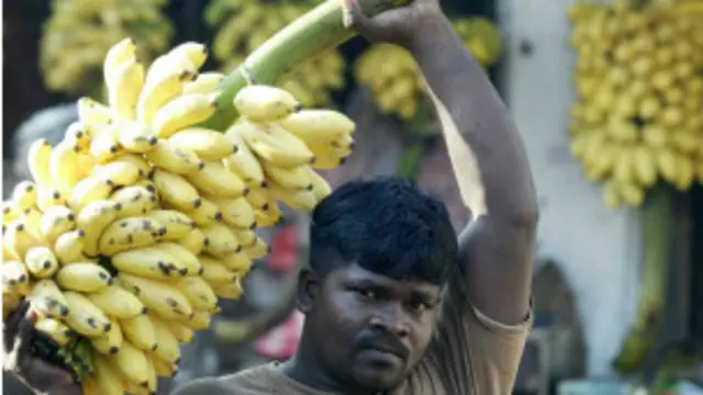 तमिलनाडु, केला