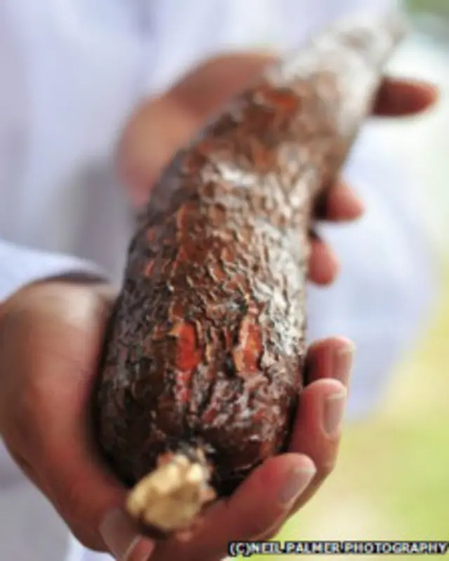 Плод маниоки