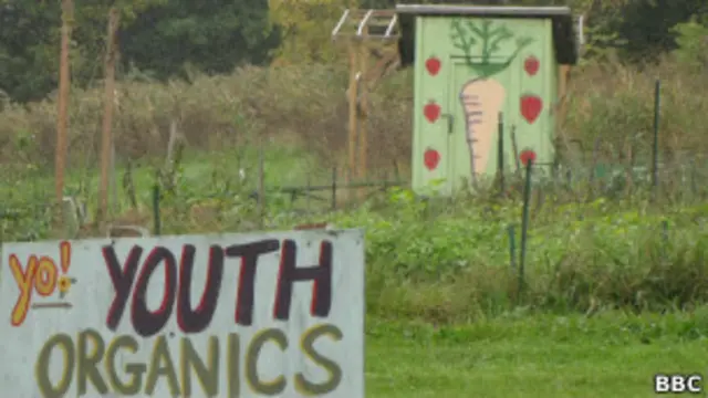 Общественный огород