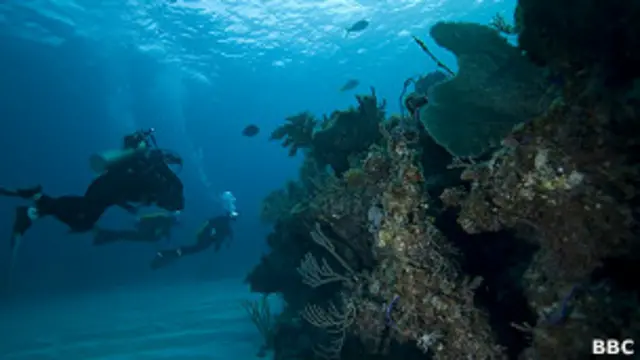 بہامس بحر الکاہل میں سات جزیروں پر مشتمل ایک ملک ہے جس کا سرکاری نام ’بہامس کی دولتِ مشترکہ‘ ہے اور ملکۂ برطانیہ اس کی سربراہِ مملکت ہیں