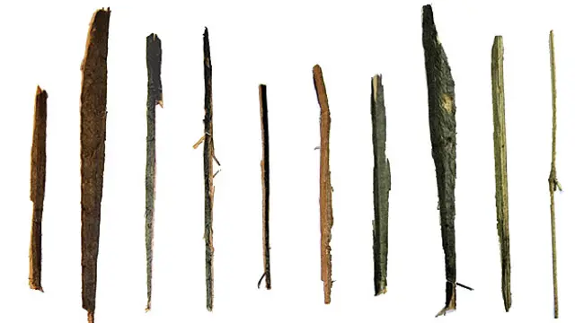 Astillas separadas por la cacatúa Fígaro de un tirante de madera