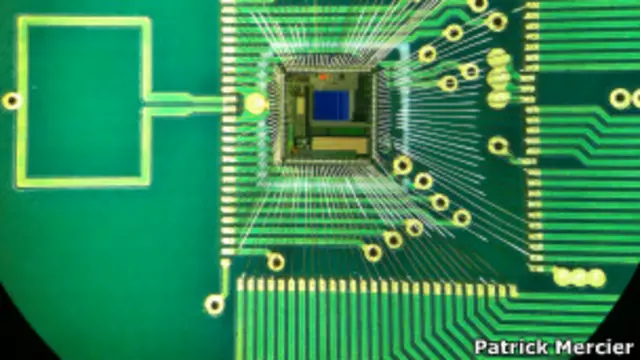 Un close-up del chip, equipado con un transmisor de radio, es alimentado por una batería que se encuentra naturalmente en el oído del mamífero.