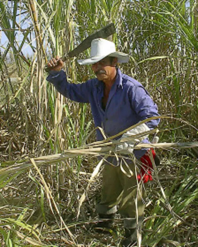 Fotos: Raquel Pérez.
