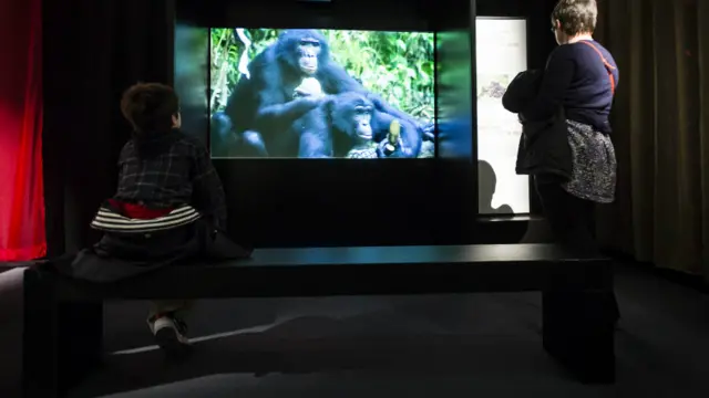 Выставка "Звери секса"