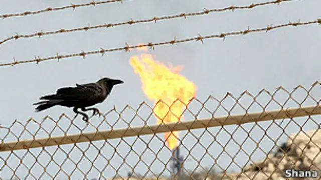 به گفته مقام‌های ایران درآمد ارزی کشور بعد از اعمال تحریم‌های نفتی جدید نصف شده است