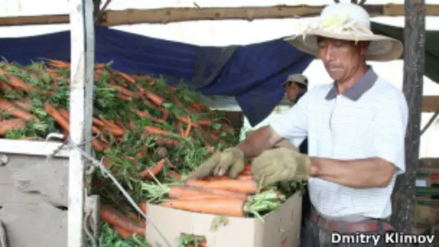 Китайский рабочий в России