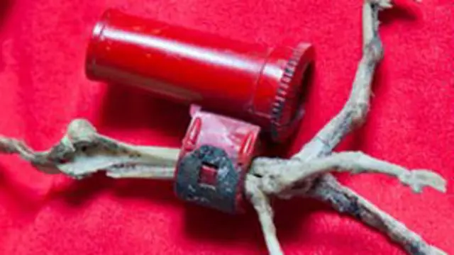 Mensaje codificado en la pata de una paloma muerta