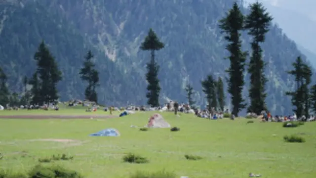 امیر مقام ق لیگ کے بجائے اس بار مسلم لیگ ن کے لیے انتخابی عمل میں شامل ہیں