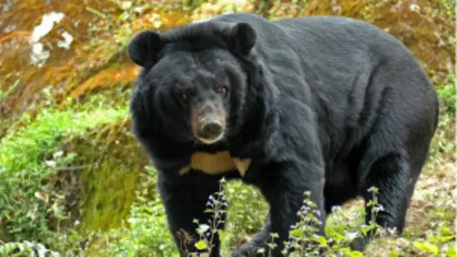 फाइल चित्र