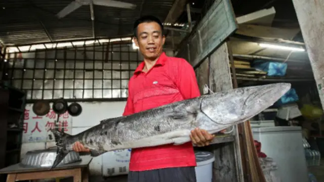 Ngư dân Trung Quốc đã ra định cư và đánh bắt ở 'thành phố Tam Sa'