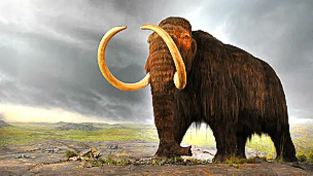 Mamut lanudo