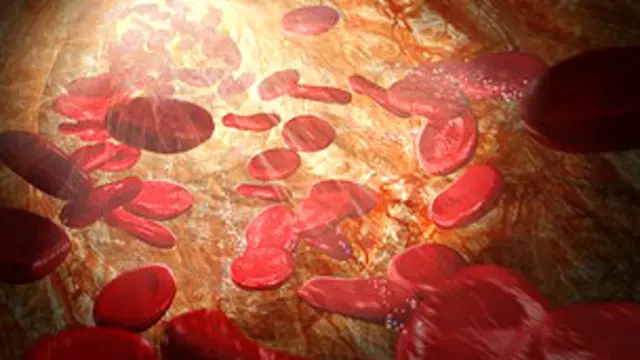 Células sanguíneas