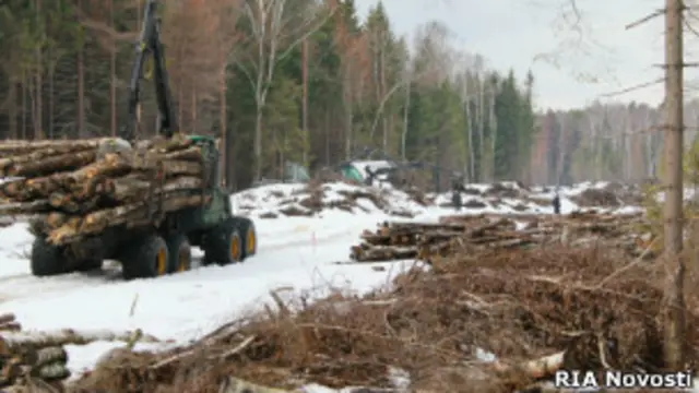 Химкинский лес