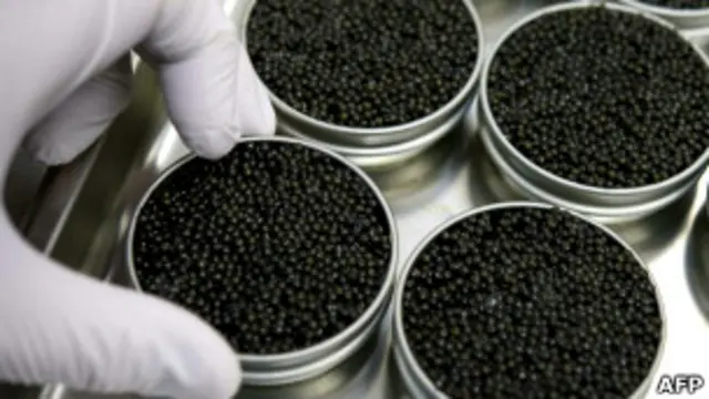 در شیوه جدید، اگر تخم رسیده باشد، یک پروتئین خاص برای چند بار در روز به بدن ماهی تزریق می شود و بعد تخم آن استخراج می شود