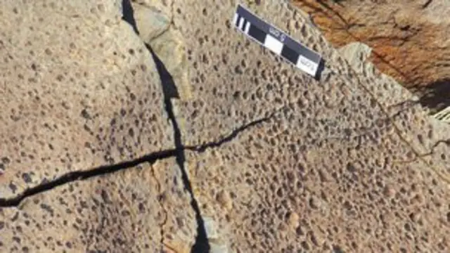 Ископаемые дождевые капли