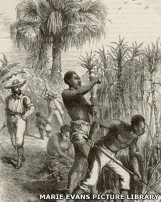 Dibujo de esclavos africanos en una plantación colonial