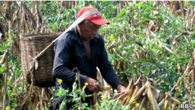 Хуан Батиста