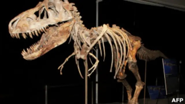 Скелет тиранозавра
