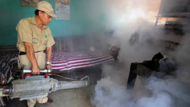 Rociamiento de insecticida