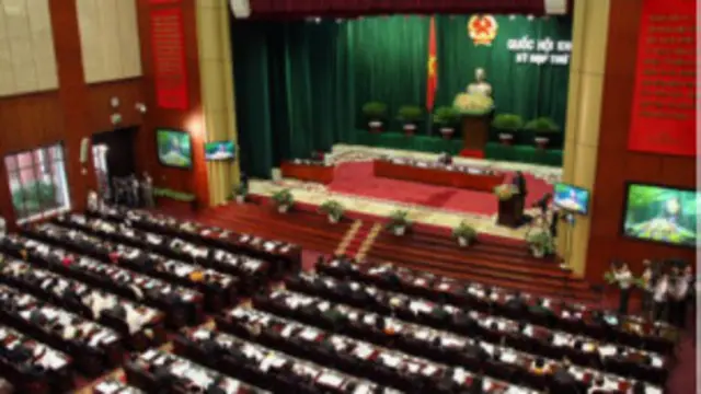 "Đúng ra Hiến pháp cần giữ nguyên quy định quyền lập pháp chỉ duy nhất thuộc về quốc hội, chấm dứt tình trạng cơ quan hành pháp được quyền lập pháp. Nhưng rồi Hiến pháp lại chỉnh theo hướng cho phép cơ quan hành pháp được ban hành văn bản pháp luật để hợp thức những việc làm vi hiến trước đây."