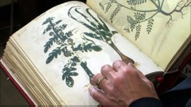 Libro medicinal antiguo