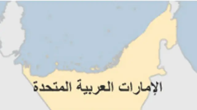 قانون العقوبات الإماراتي يحظر تأسيس كيان يهدف قلب النظام السياسي في الدولة. 