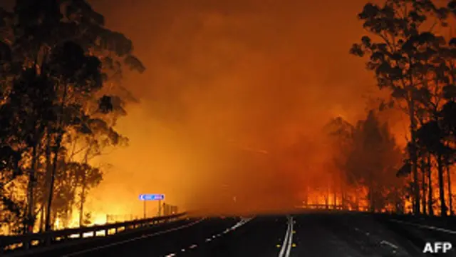 Kebakaran hutan Australia