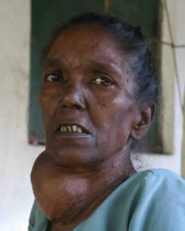 चाय बागान