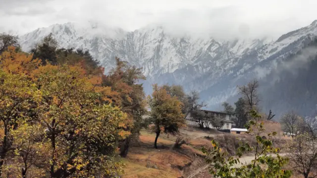 جنگلات نورستان